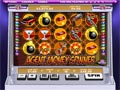 Slots24's Agent Money Spinner online slot machine screenshot